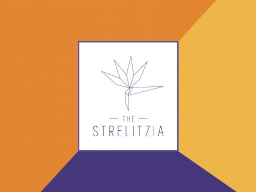 The Strelitzia